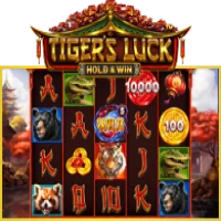 Tiger's Luck - Hold & Win