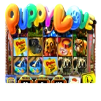 Puppy Love Plus